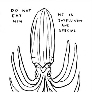 Authentic David Shrigley - Do not Eat Him - Squid - rare ltd original print / poster