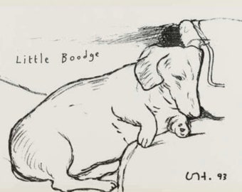 Vintage David Hockney Print - Little Boodge - Dachsund - Stunning Original poster