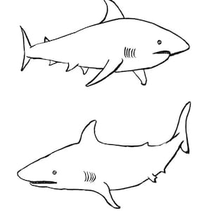 Official David Shrigley poster - Be Nice to the Sharks and they will be Nice to You - stunning rare original print
