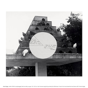 Original David Shrigley Museum Print - Pigeons - Stunning authentic exhibition poster
