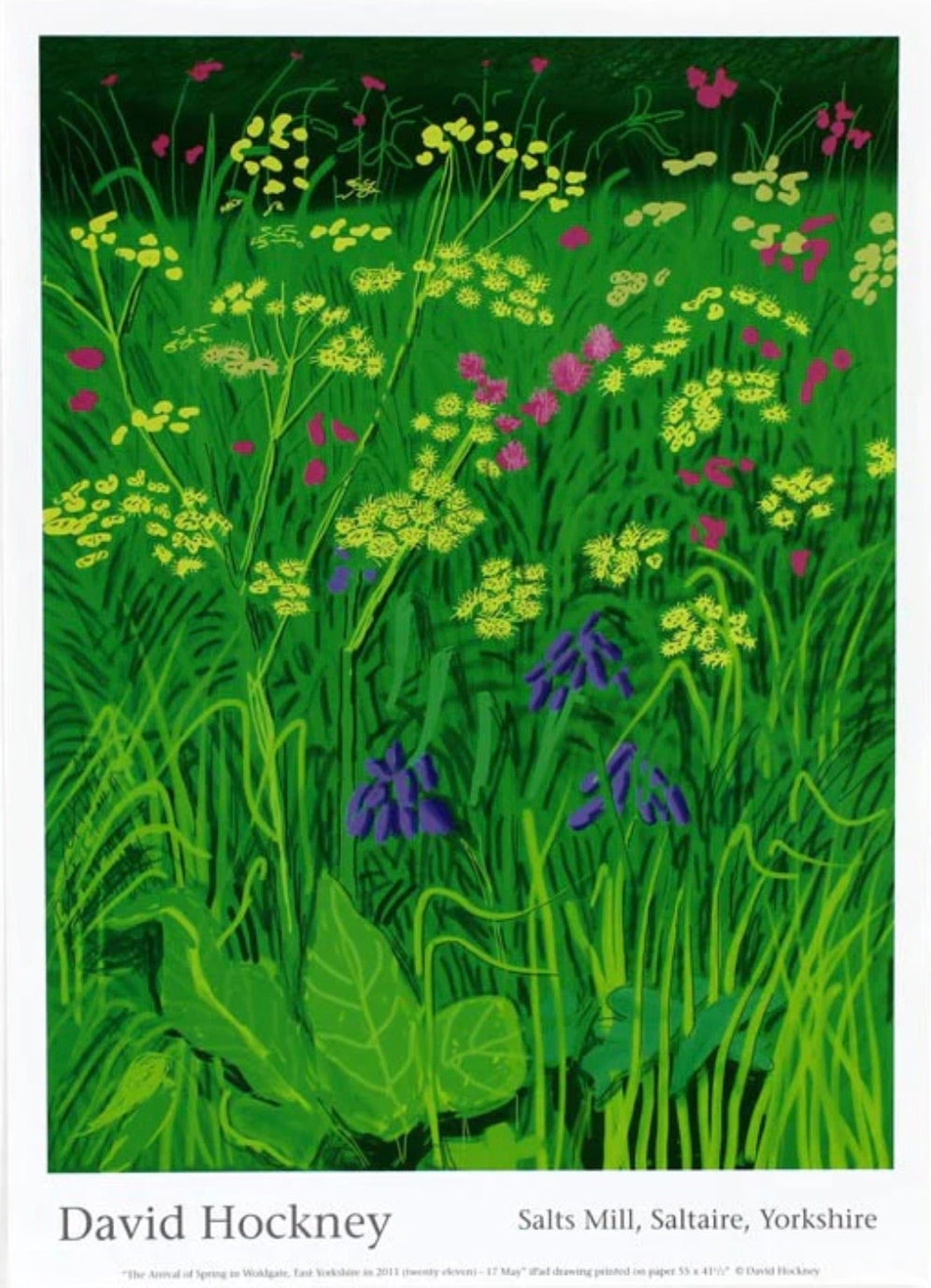 Original David Hockney Exhibition Poster 17th May 2011 the Arrival of ...