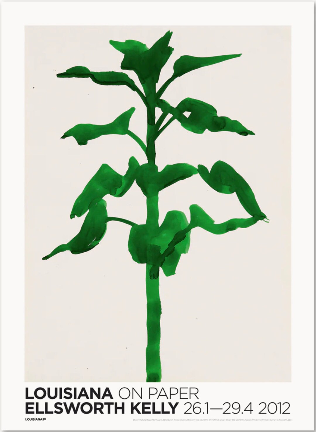 Ellsworth Kelly: Plant Drawings: Ashbery, John