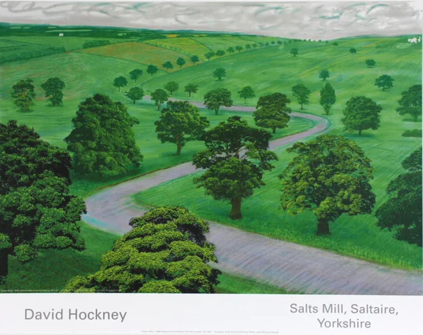 Original David Hockney Exhibition Photo Green Valley Stunning Museum