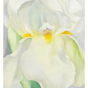 Cartel original de la exposición Georgia O'Keefe - White Iris - Impresión auténtica del museo