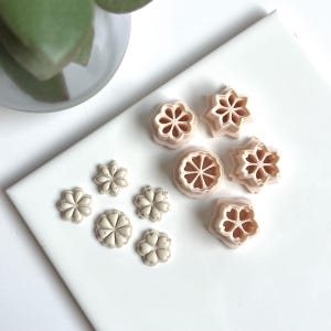 Peut inclure: Diverses découpoirs à biscuits beiges en forme de fleurs, de tailles et de motifs variés. Les découpoirs sont disposés sur une surface blanche, avec quelques feuilles de plantes vertes en arrière-plan. Idéal pour la pâtisserie et l'artisanat.