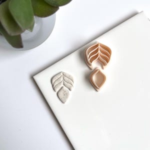 Op de afbeelding: Een set van twee roze plastic blaadjes-koekjesvormen. De grotere vorm heeft een gedetailleerd bladontwerp met meerdere lagen. De kleinere vorm is een eenvoudige blaadjesvorm.