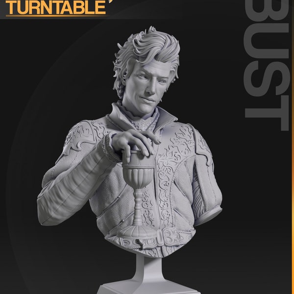 Astarion Bust   | Baldurs Gate Bust *8k Print* 3d printed Model | Gift for Gamer | BDG Statue  | Handmade Gift | Geschenk Skulptur |