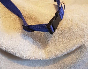 Dog Collar