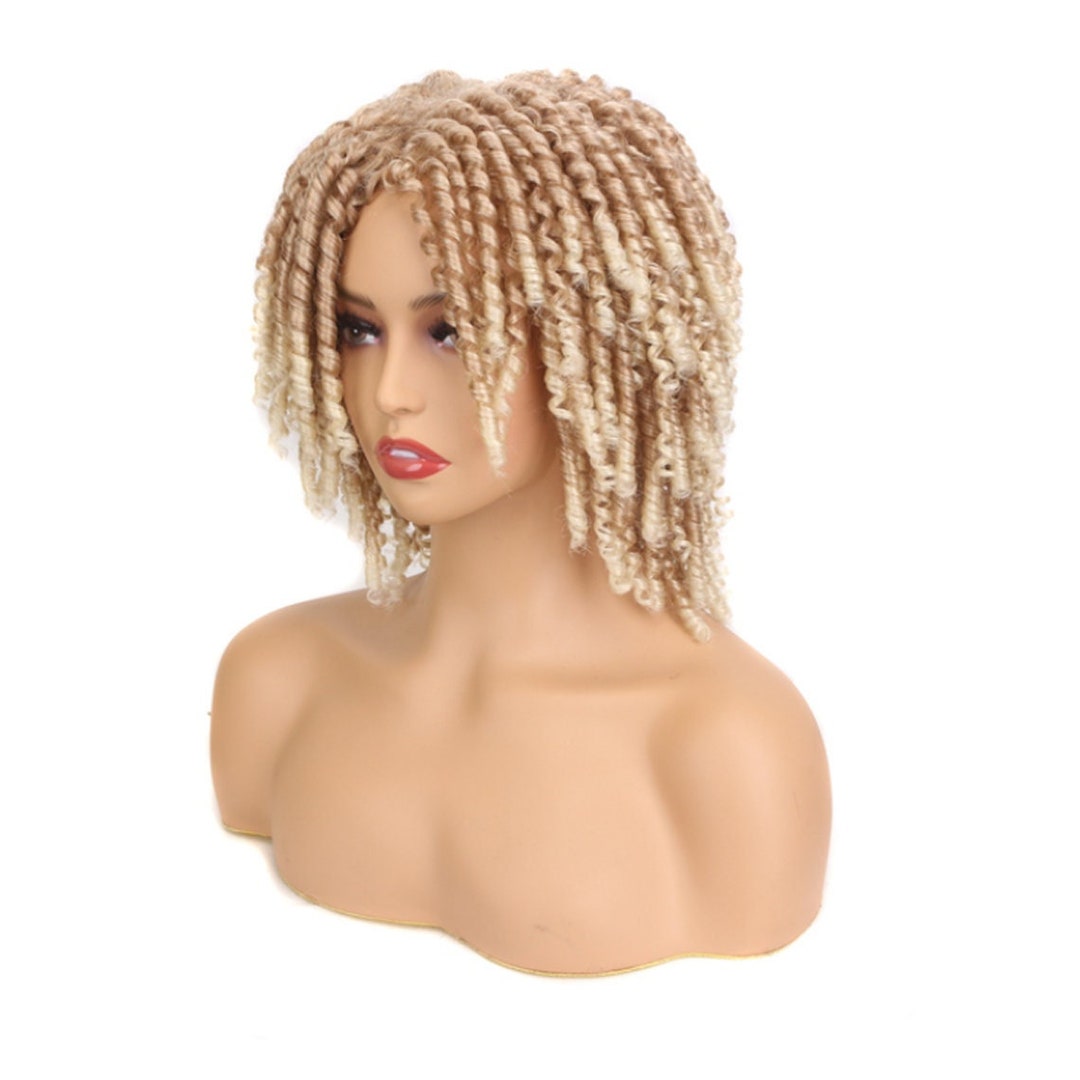 Dreadlock Wigs for Women Ombre Synthetic Braided Wigs African Etsy
