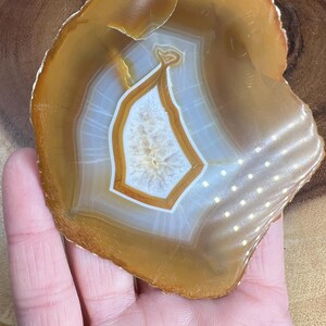 May include: A slice of agate with a white and brown banded pattern. The agate has a smooth, polished surface and is a natural stone.
