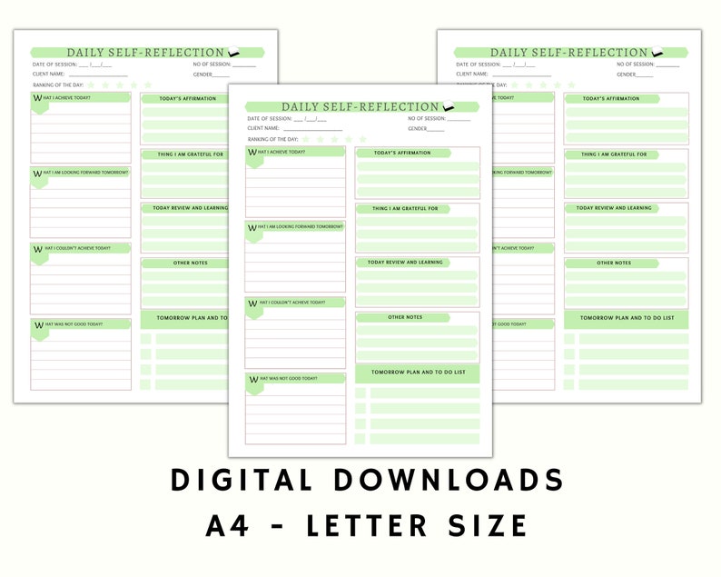 Daily Self Reflection Template, Reflection Daily Journal Notes, Daily Daily Self Reflection Template, Reflection Daily Journal Notes, Daily