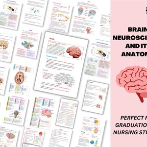 Gehirn- und Neurowissenschaftliche Therapie Bundle- 2025 Gehirnregionen und ihre Funktion- Psychoedukation - Mental Gesundheit Poster, Schulpsychologe