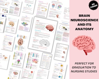 Brain and Neuroscience Therapy Bundle- 2025 Brain Regions and its Function- Psychoeducation - Mental Health Poster, School Psychologist