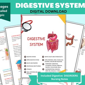 Digestive System Anatomy: Nursing Study Guide (Digital Download)