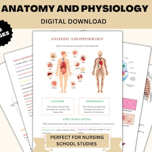 Anatomy and Physiology Study Guide: Nursing Notes (PDF)
