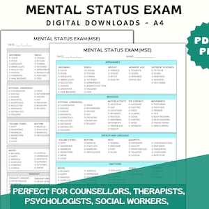 Mental Status Exam, MSE Reports Worksheet, MSE Observations for Patient, Mental Health Reference, Assessment Template, Counseling Tools