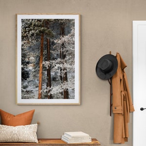 BAUM MIT FROST Drucken | Valle d'Aosta Italienische Alpen Fine Art Giclée Fotografie von Winterlandschaften | Schneebedeckter Baum im Aostatal