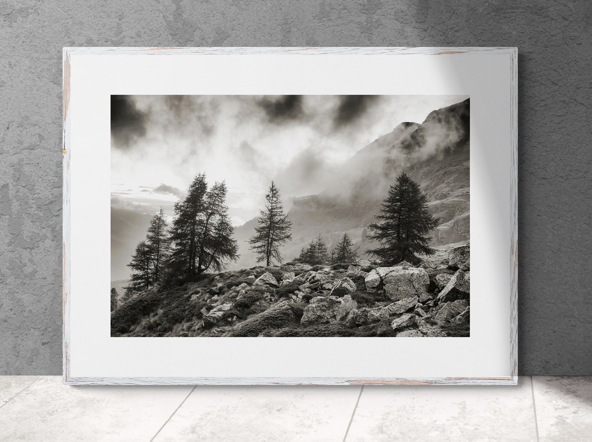 AOSTA Valley MOUNTAIN print | Black and White Fine Art Print of Trees in the Clouds | Captured in the Ayas Valley | Epson HDX Inks