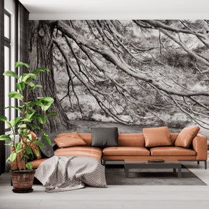 AMAZING WALLPAPER | Sunny Forest Prints | Antique Wallpaper | Nature Sequoia Print | Rustic Matte Finish Sequoia Mural Quality Wallpaper
