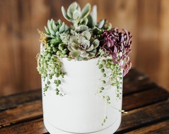 Team Building Virtual - Ceramic Succulent Planter