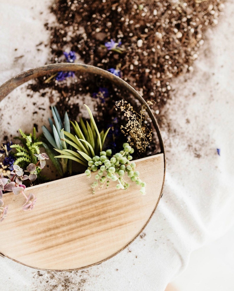 Wine Barrel Wall Hanger DIY KIT Etsy