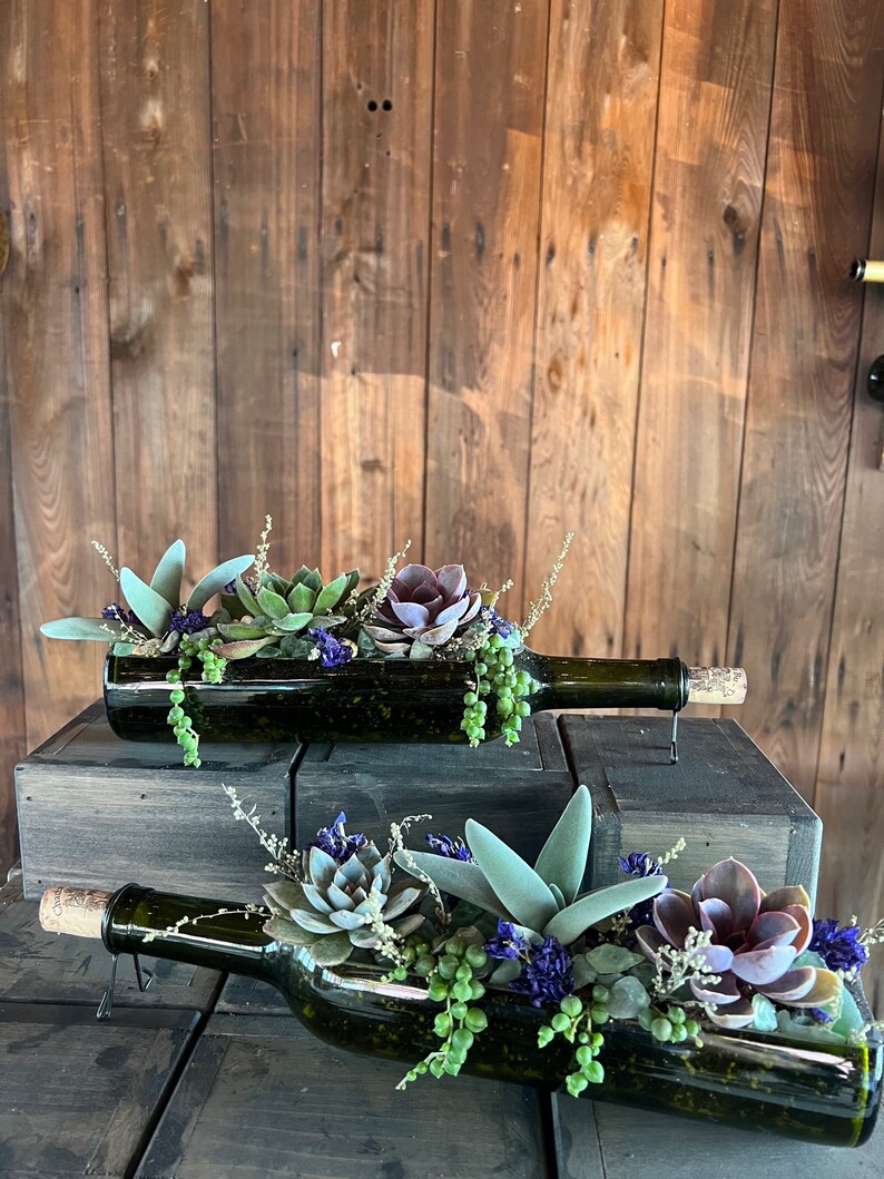 Wine Bottle Planter DIY KIT Etsy