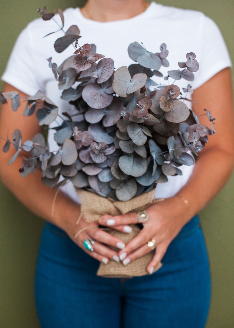 Eucalyptus Bundles Regular Etsy