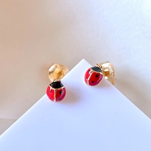 Orecchini a bottone in argento Sterling a forma di coccinella, orecchini a perno a forma di coccinella in smalto rosso, piccoli orecchini a forma di insetto, gioielli a forma di coccinella, orecchini a forma di insetto, regalo