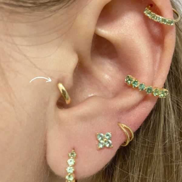 Printable Ear Seed Placement Chart Comprehensive Acupuncture Ear Chart