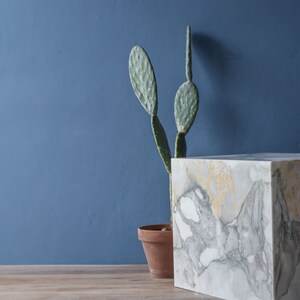 May include: A white marble cube with grey and yellow veining sits on a wooden surface. A potted cactus with green, paddle-shaped leaves is in the background against a blue wall.