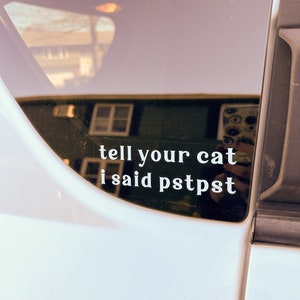 Tell Your Cat I Said Pstpst Vinyl Decal, Car Decal, Cat Car Decal, Cat Lover Decal, Gifts for Cat Lovers, Cat Laptop Sticker