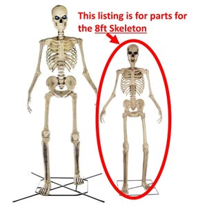 May include: This listing is for parts for the 8ft Skeleton. Two skeletons are shown, one standing upright and one in a close-up view. Both skeletons are made of plastic and have a beige color.