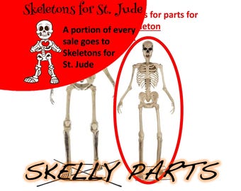 8 foot Skeleton Arm Head Bracket Adapter Replacement from Best Buy JoAnn Fabrics Fun.com Marshalls TJ Maxx