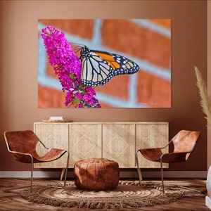 Butterfly Photography Print Botanical Photo Macro Flower Print Macro Photography Modern Photo Print Wildlife Photography image 2