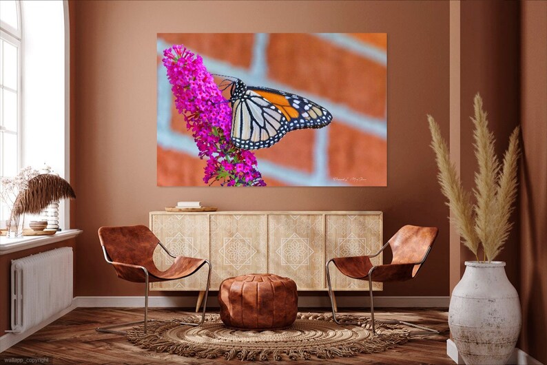 Butterfly Photography Print Botanical Photo Macro Flower Print Macro Photography Modern Photo Print Wildlife Photography image 2