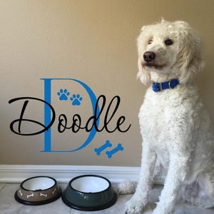 Personalized Dog Name Wall Decal Dog Name Sticker Monogram Pet Name Mural Done Bone Decals Dog Paw Decals
