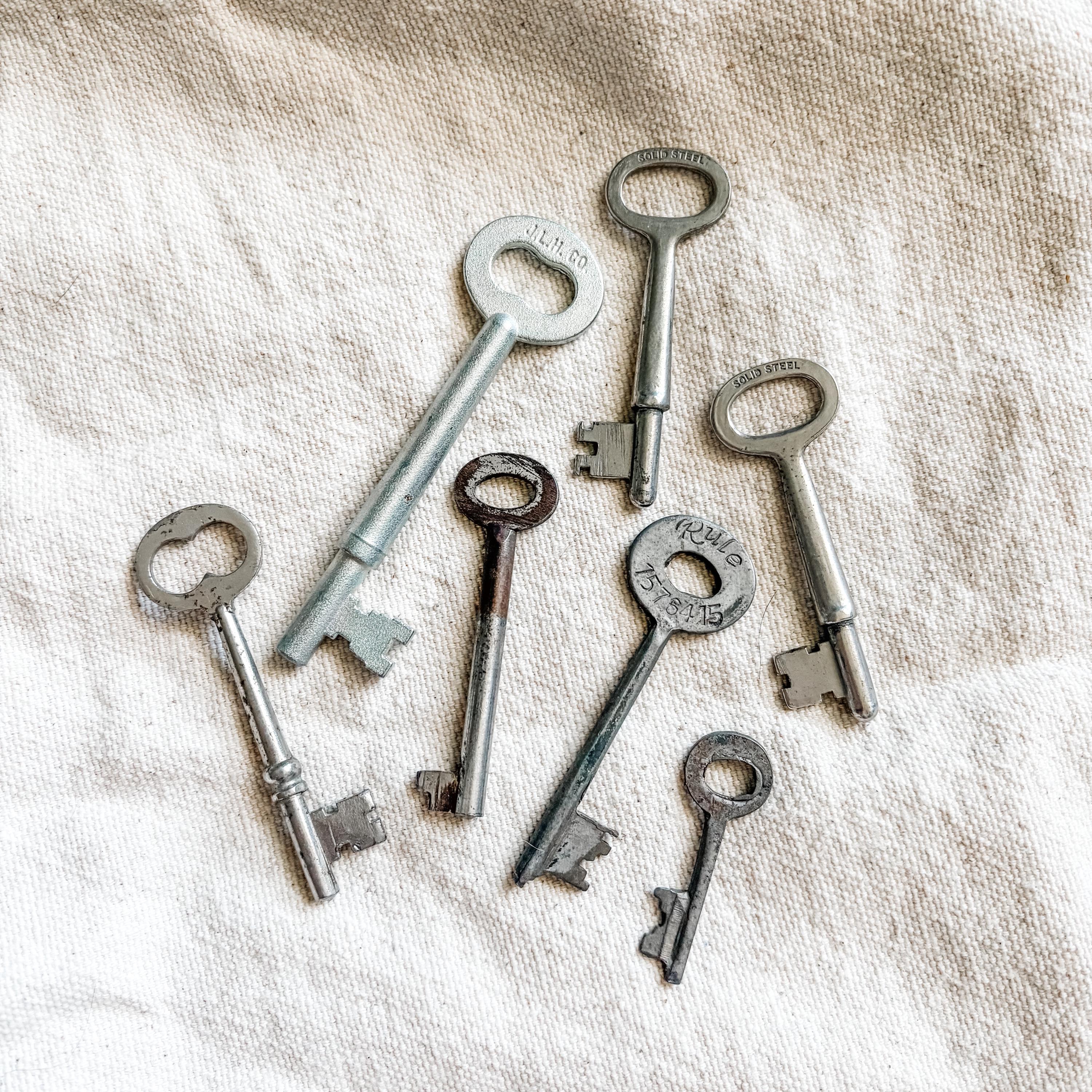 Skeleton Key Taylor blank (JAS) Skeleton Key Taylor blank (JAS)