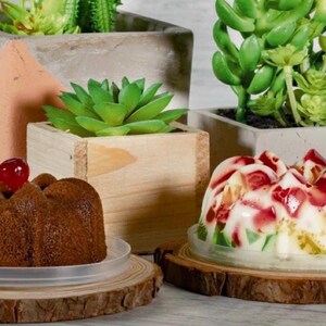 May include: A close-up of three desserts on wooden platters. The desserts are a chocolate bundt cake with a cherry on top, a clear jelly dessert with red and green fruit pieces, and a white cake with a cherry on top. The desserts are surrounded by small potted succulents.