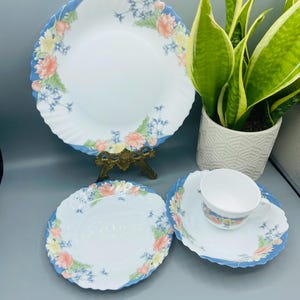 Vintage Arcopal Milk-Glass Pretty Floral Set – 1 Dinner Plate, Side Plate, Bowl & Cup (Pastel Florals)