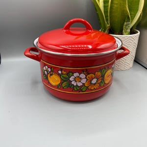 Vintage Yugoslavian Floral Enamel Stock Pot