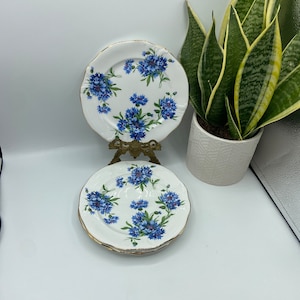 Hemmessley Cornflower Plates
