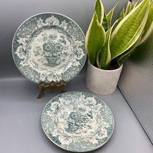 May include: Two antique green and white decorative plates with floral designs. One plate is displayed on a gold-colored stand. A potted snake plant is in the background. The plates have a detailed border.