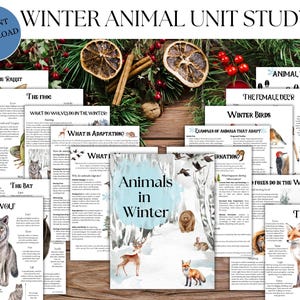 Op de afbeelding: Een verzameling educatieve printables getiteld "Winter Animal Unit Study". De materialen bevatten pagina's over verschillende winterdieren zoals konijnen, kikkers, wolven en vossen, met illustraties en tekst. De omslagpagina luidt "Animals in Winter".