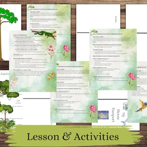 以下が含まれることがあります： 熱帯雨林バイオームに関する教育資料。画像には、木、動物、花のイラストが描かれたいくつかのページが表示されています。「Layers of the Rainforest」と「Lesson & Activities」というテキストが含まれています。配色は主に緑と白です。