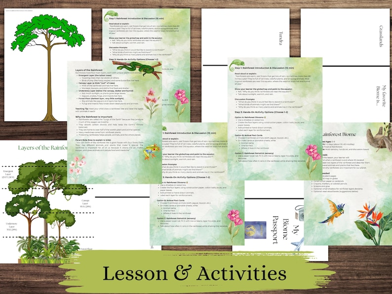 以下が含まれることがあります： 熱帯雨林バイオームに関する教育資料。画像には、木、動物、花のイラストが描かれたいくつかのページが表示されています。「Layers of the Rainforest」と「Lesson & Activities」というテキストが含まれています。配色は主に緑と白です。