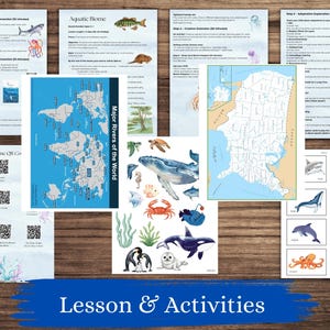 以下が含まれることがあります： 水生生物をテーマにした教育資料のコレクション。画像には、レッスン計画、地図、クジラ、サメ、ペンギンなどの海洋生物のイラストが含まれています。「Lesson & Activities」というテキストが下部に表示されています。