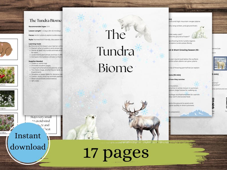 以下が含まれることがあります： 「The Tundra Biome」というタイトルのデジタルダウンロード。ホッキョクグマやトナカイなど、北極圏の動物のイラストが描かれています。表紙には「The Tundra Biome」と「17ページ」という文字があります。青い円には「Instant download」と書かれています。