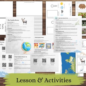 以下が含まれることがあります： ツンドラバイオームのレッスン用教材。テキスト、動物のイラスト、地球儀、QRコードを含むワークシートが含まれています。「Lesson & Activities」というフレーズが一番下にあります。