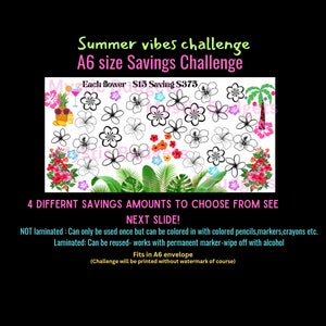 Summer vibes A6 savings challenges