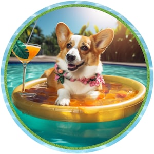 Puede incluir: Un perro corgi con un collar de flores rosas flota en un flotador de piscina amarillo lleno de líquido naranja. El perro sonríe y mira a la cámara. El flotador de piscina está en una piscina azul.